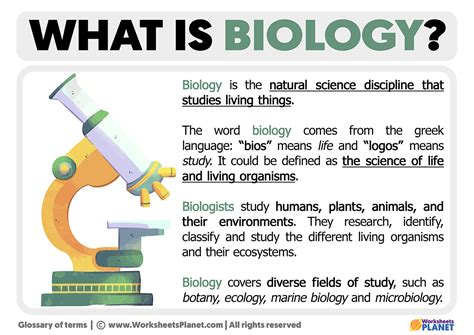 pussy in bio meaning|More.